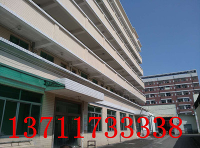 东涌5万方简易厂房招租 型像一流，一线大路边，稀缺资源不容错过